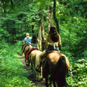 Horseback tours